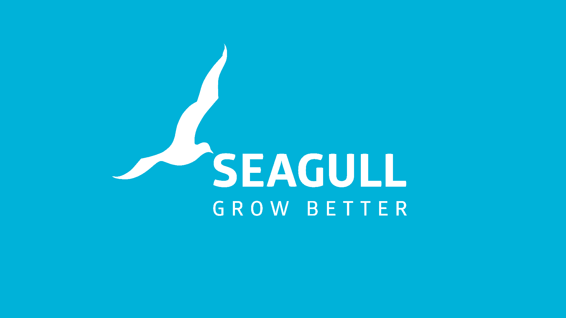 seagull-logo-blue-background-1