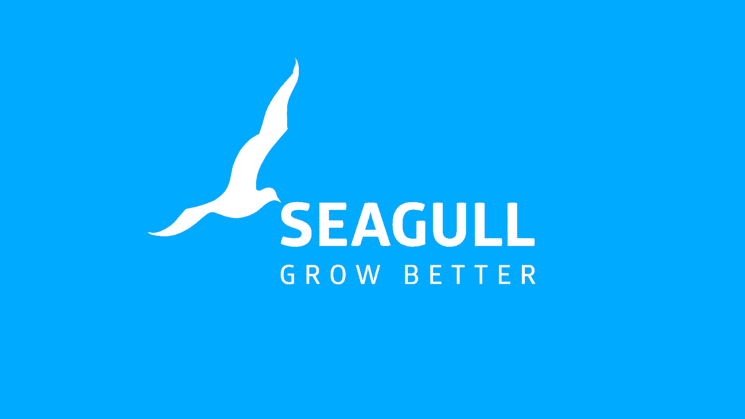 Seagull-logo-blue-background